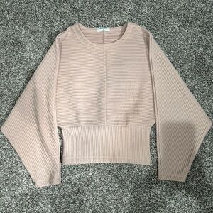 Aritzia Babaton blush sweater